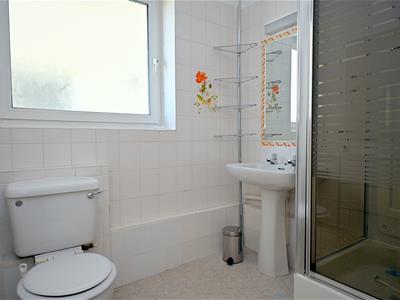 Picture 13